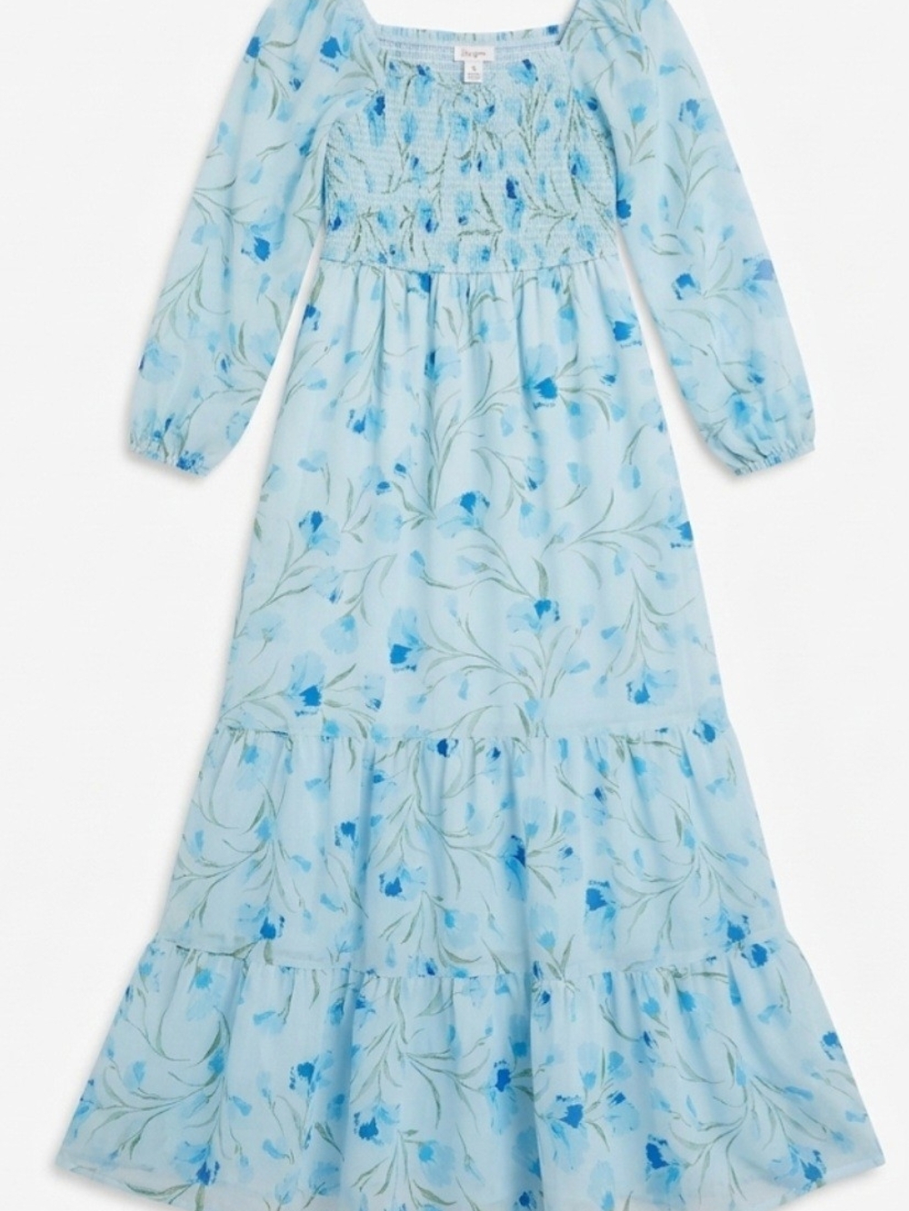 Japna Light Blue Floral Maxi Dress